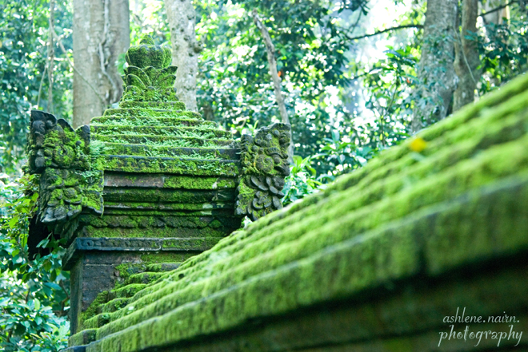 Bali,AshleneNairn0528