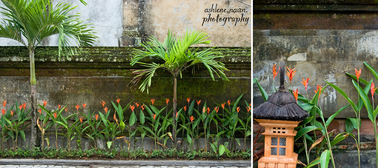 Bali,AshleneNairn0550