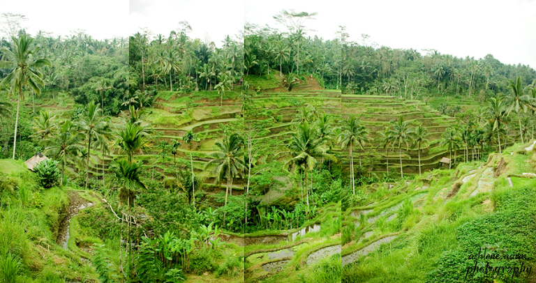 Bali,AshleneNairn0566pano