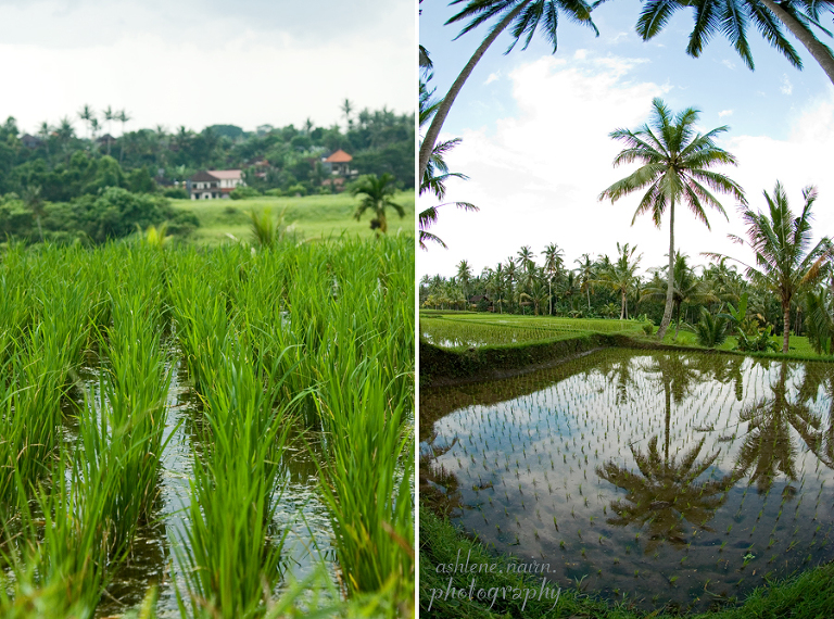 Bali,AshleneNairn0620