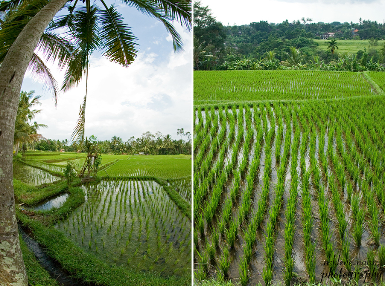 Bali,AshleneNairn0633