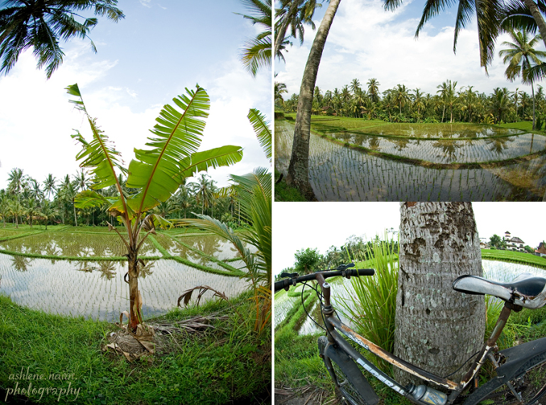 Bali,AshleneNairn0653