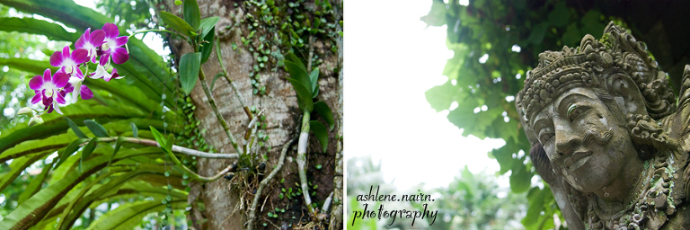 Bali,AshleneNairn0683