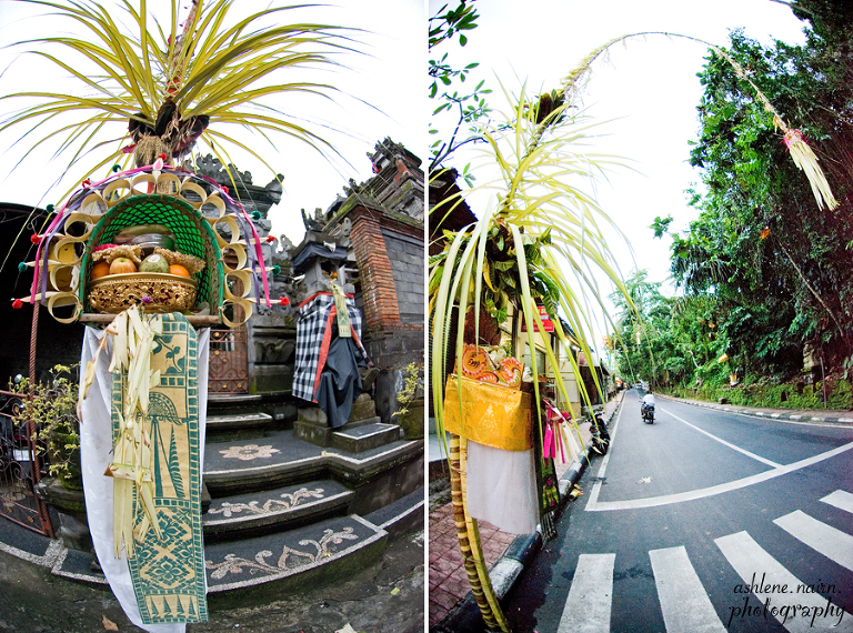 Bali,AshleneNairn0719