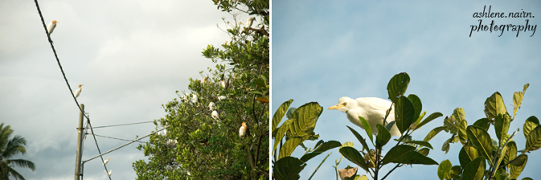 Bali,AshleneNairn0757