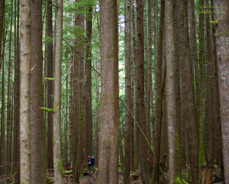 BearBeachHike,Outdoors,AshleneNairn6669