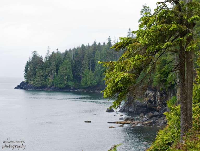 BearBeachHike,Outdoors,AshleneNairn6707a