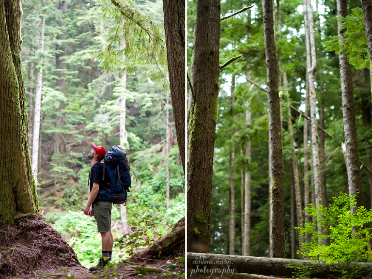 BearBeachHike,Outdoors,AshleneNairn6717