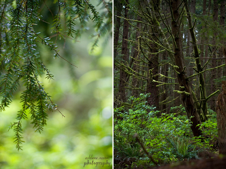 BearBeachHike,Outdoors,AshleneNairn6720