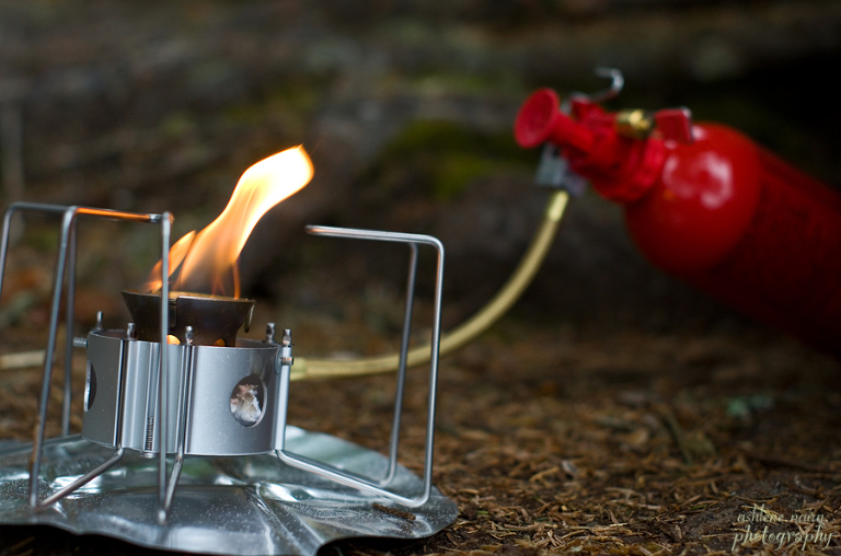 BearBeachHike,Outdoors,AshleneNairn6880