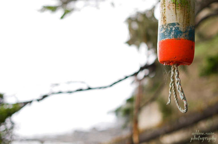 BearBeachHike,Outdoors,AshleneNairn7017