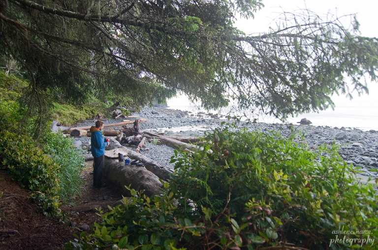 BearBeachHike,Outdoors,AshleneNairn7046