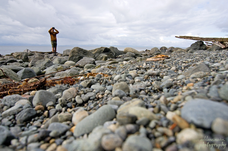 BearBeachHike,Outdoors,AshleneNairn7103