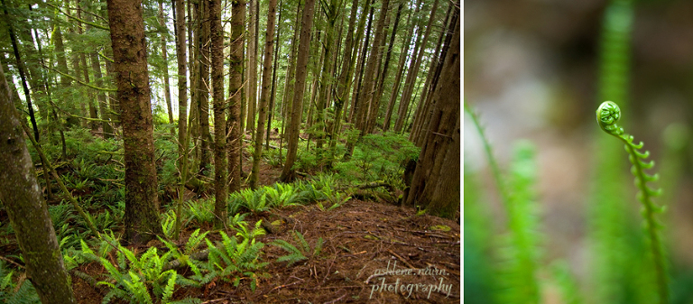 BearBeachHike,Outdoors,AshleneNairn7126