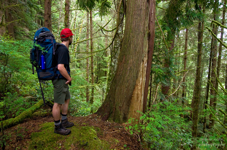 BearBeachHike,Outdoors,AshleneNairn7130