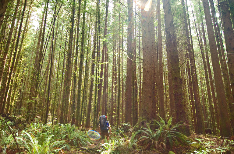 BearBeachHike,Outdoors,AshleneNairn7137