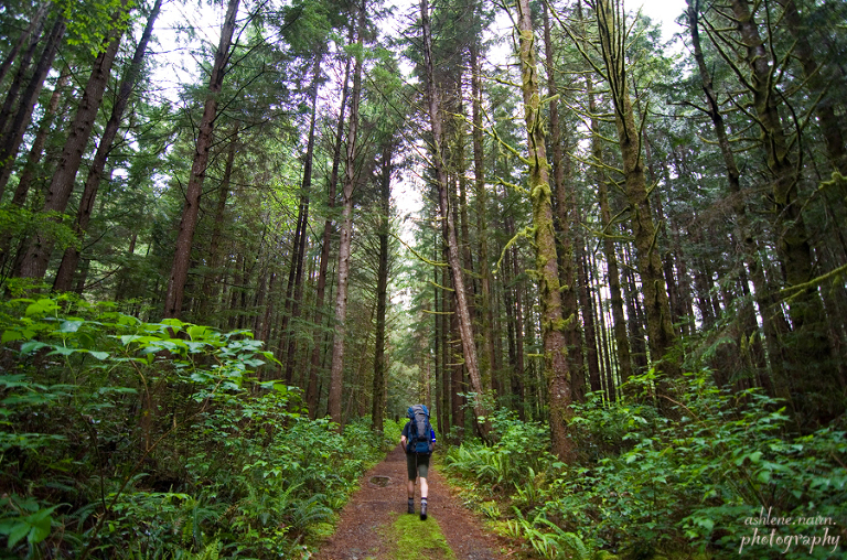 BearBeachHike,Outdoors,AshleneNairn7150