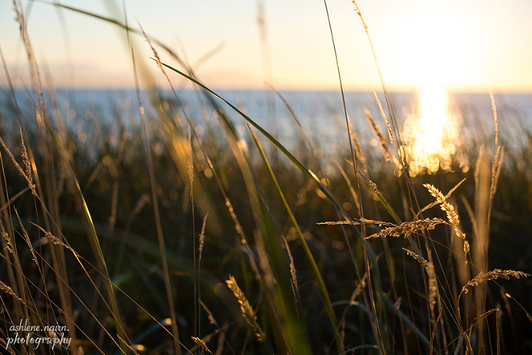 WhidbeyIsland,AshleneNairn-2471copy copyW