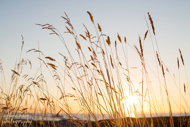 WhidbeyIsland,AshleneNairn-2475copyW