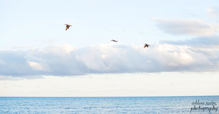 Steph&DanWedding,AshleneNairnPhotography-9220