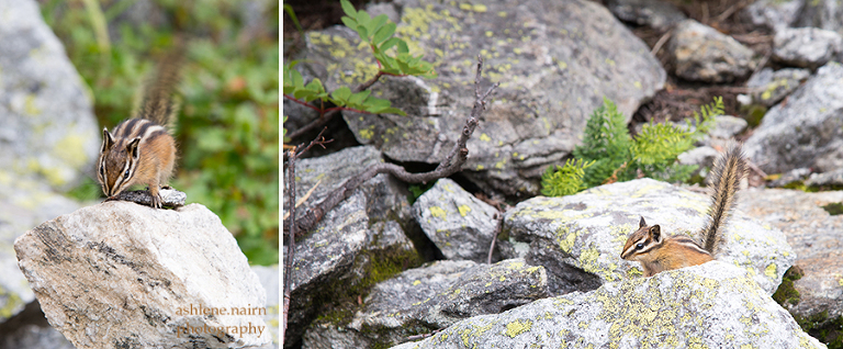 Nelson,Hiking,AshleneNairn-3950