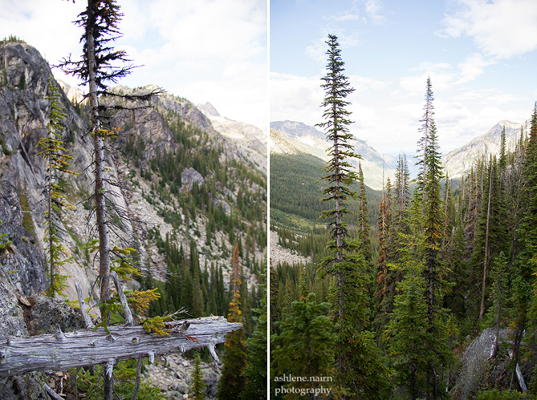 Nelson,Hiking,AshleneNairn-3987