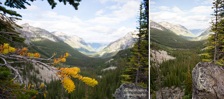 Nelson,Hiking,AshleneNairn-3997