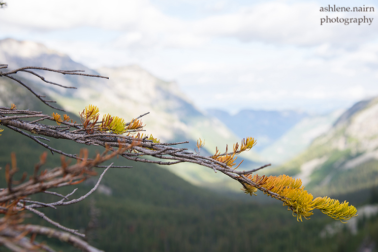 Nelson,Hiking,AshleneNairn-3999