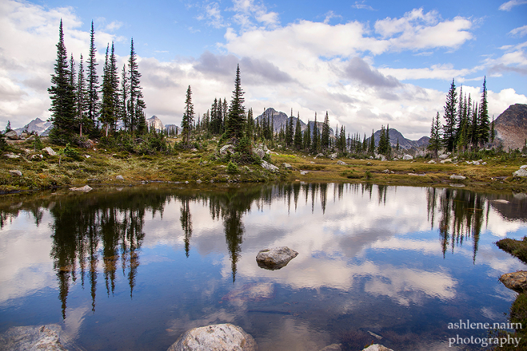 Nelson,Hiking,AshleneNairn-4055