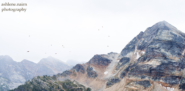 Nelson,Hiking,AshleneNairn-4143