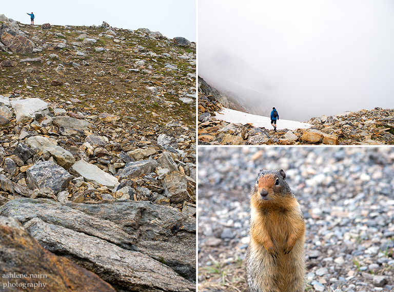 Nelson,Hiking,AshleneNairn-4242