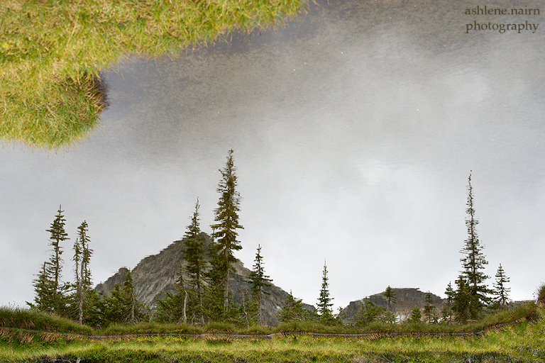 Nelson,Hiking,AshleneNairn-4344