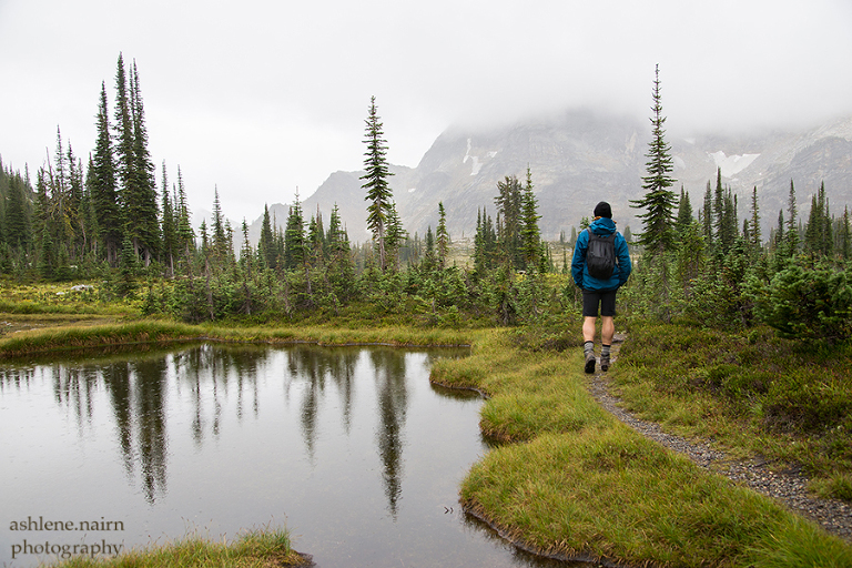 Nelson,Hiking,AshleneNairn-4348