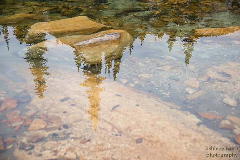 Nelson,Hiking,AshleneNairn-4366