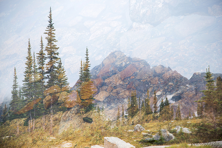 Nelson,Hiking,AshleneNairn-4367