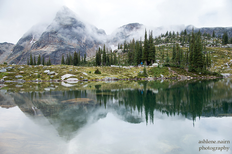 Nelson,Hiking,AshleneNairn-4380