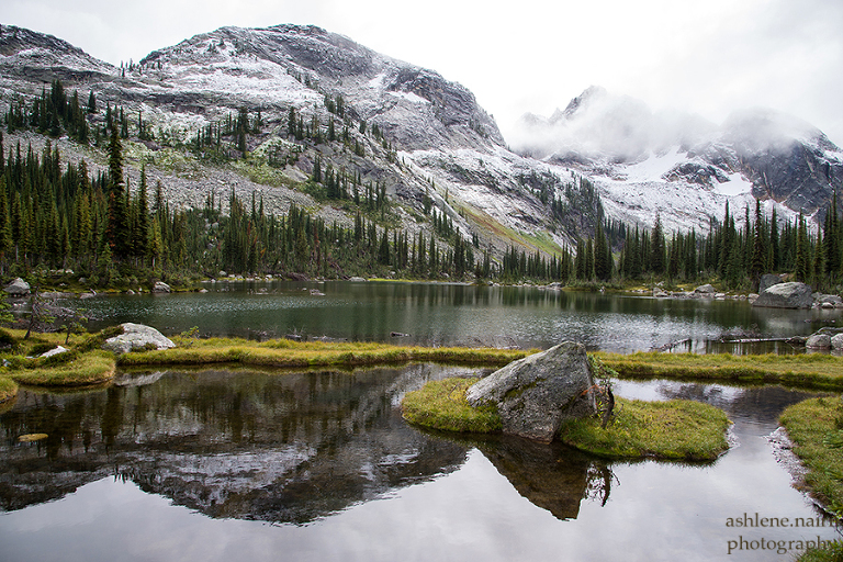 Nelson,Hiking,AshleneNairn-4422
