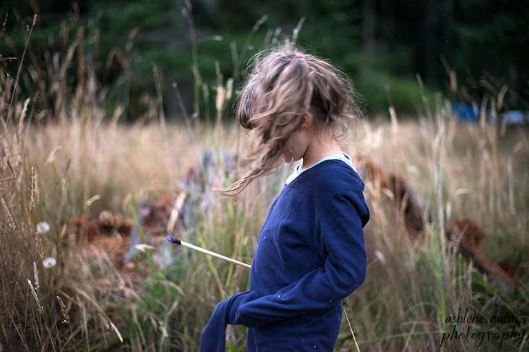 Violet,Forest,SaltSpring,AshleneNairn-0503WM