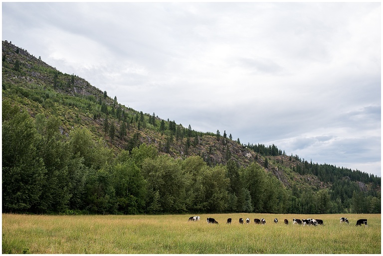 Salmon Arm Wedding
